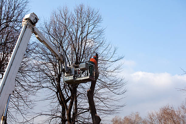 Best Soil Testing and Treatment  in Berlin, OH